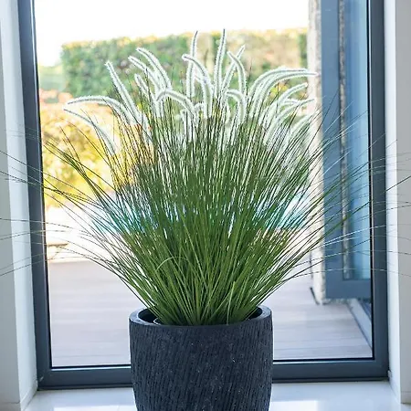 Tatil Evi Casa Reserva Do Poeta *