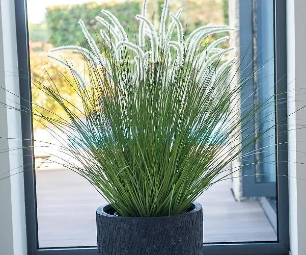 Ferienhaus Casa Reserva Do Poeta *